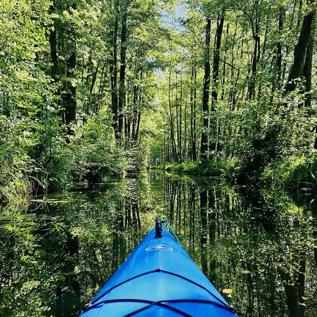 Vom Büro aufs Boot - unser Teamausflug 2025 im Spreewald Vom Büro aufs Boot - unser Teamausflug 2025 im Spreewald